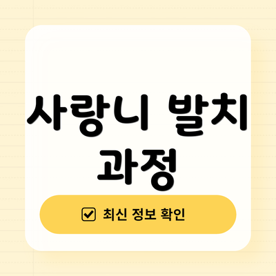 사랑니 발치 과정