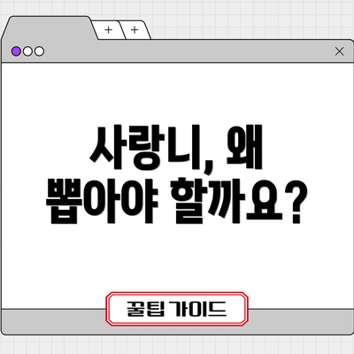 사랑니, 왜 뽑아야 할까요?