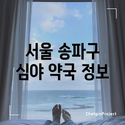 서울 송파구 심야 약국 정보