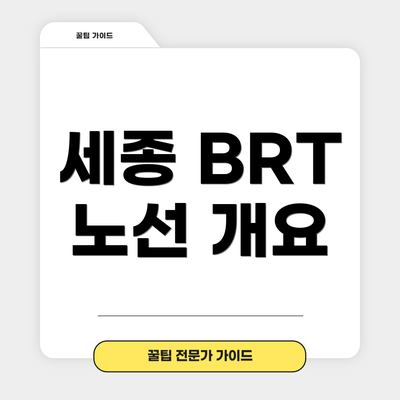 세종 BRT 노선 개요