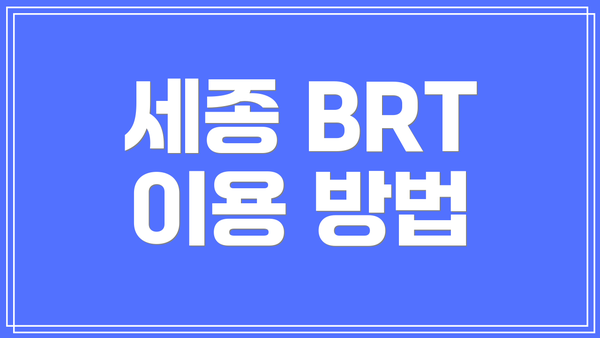 세종 BRT 이용 방법