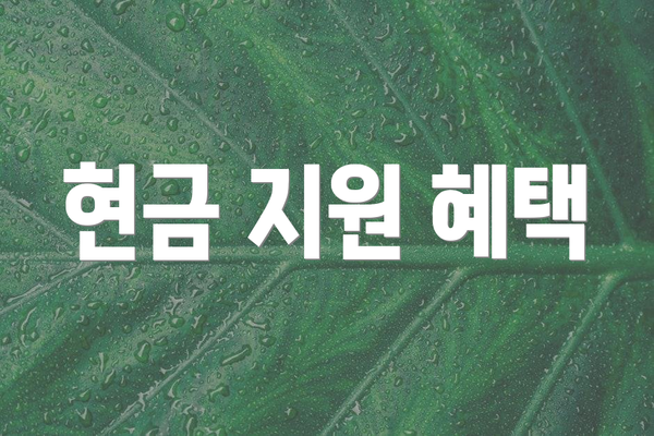 현금 지원 혜택