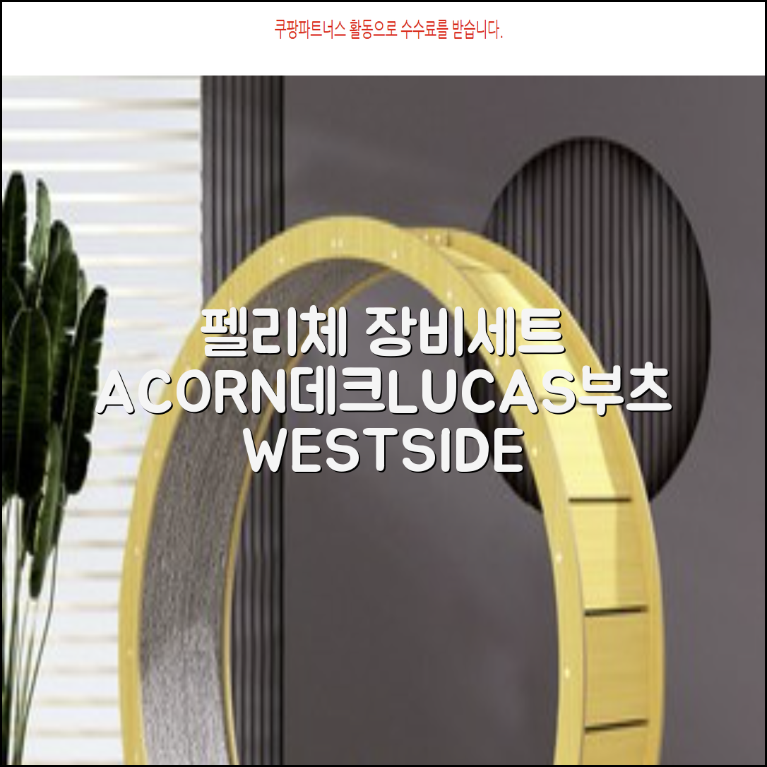 FELICE 장비세트6 ACORN데크 바인딩 LUCAS부츠, WESTSIDE 레드154+바인딩M, 1개 추천 리뷰