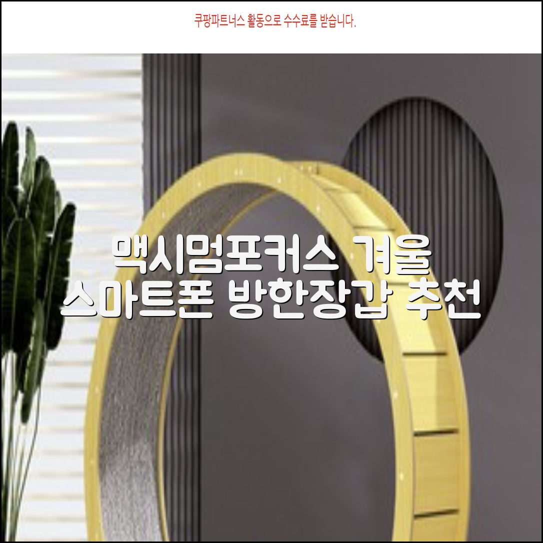 맥시멈포커스 스마트폰 터치 겨울 방한장갑 추천 리뷰