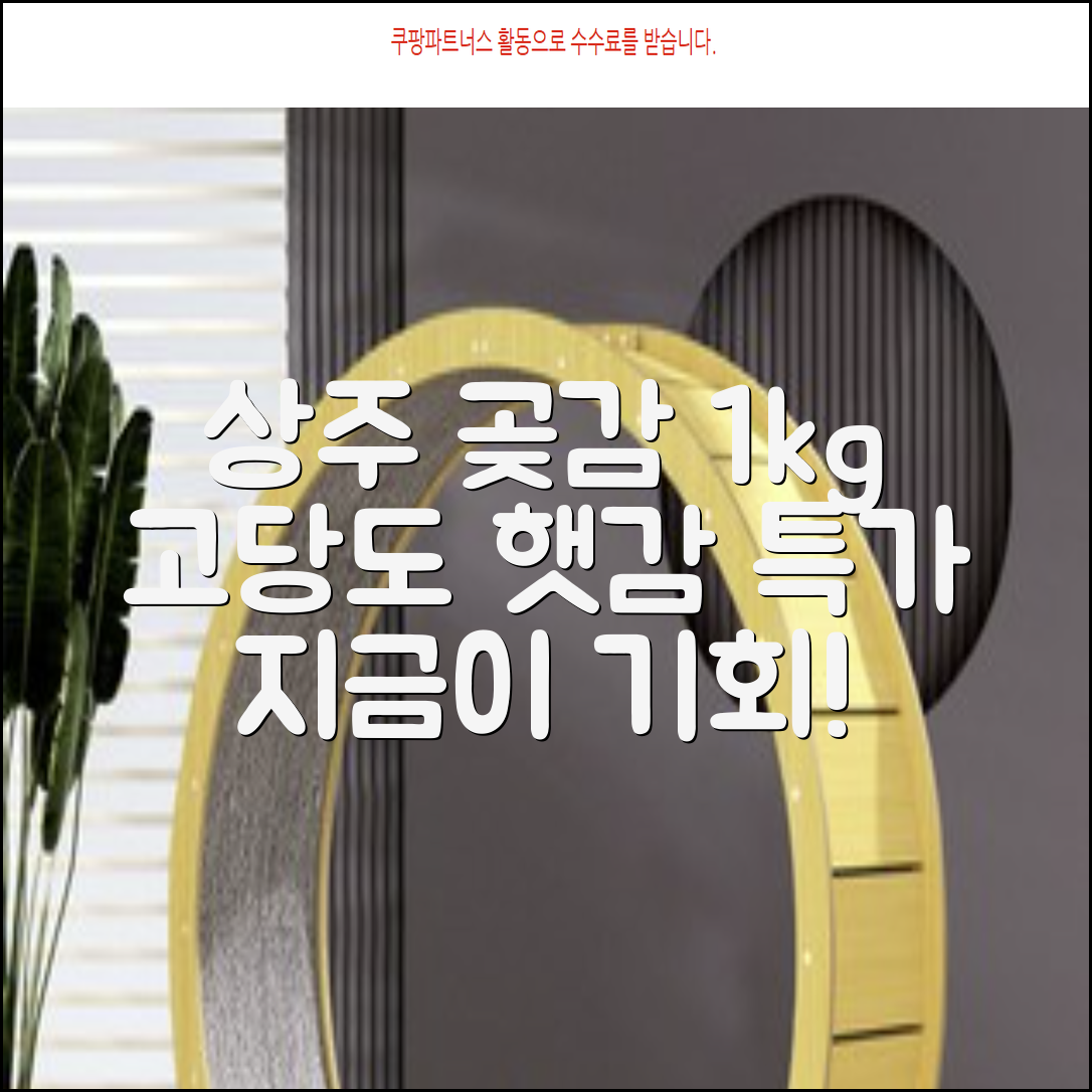 상주 곶감 초특가 1kg 고당도 햇감, 1개 추천 리뷰