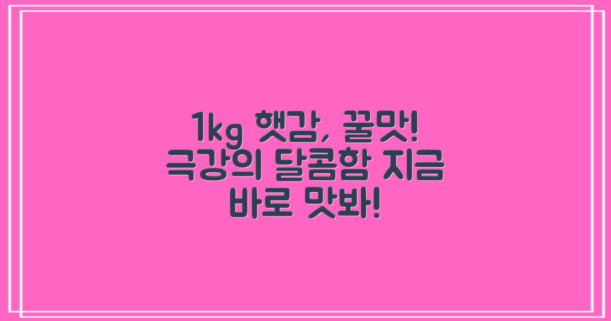 1kg 고당도 햇감의 달콤함