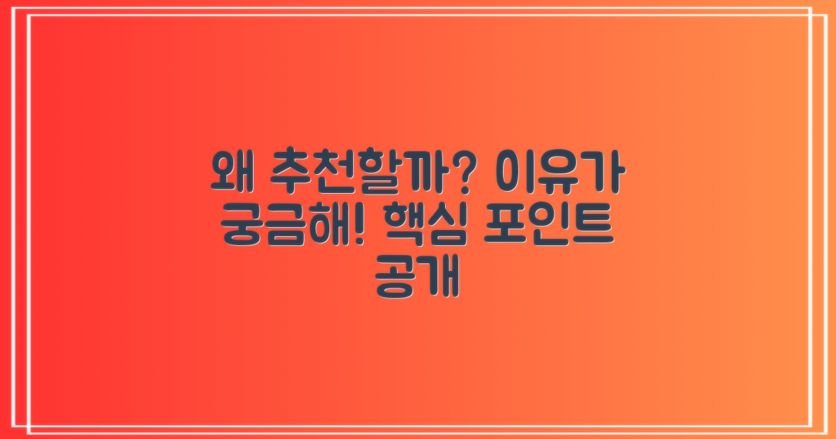 추천할 만한 이유가 뭘까?