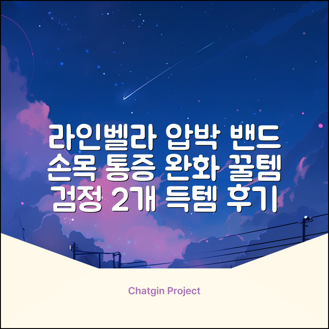 라인벨라 의료용 손목 압박용 밴드 블랙, 2개 추천 리뷰
