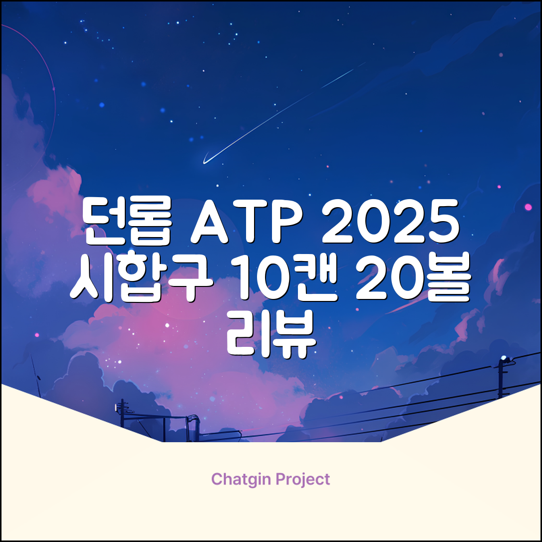 2025 던롭 ATP 테니스공 10캔 (20볼) 시합구, 던롭 ATP볼 10캔 (20볼), 10세트 추천 리뷰