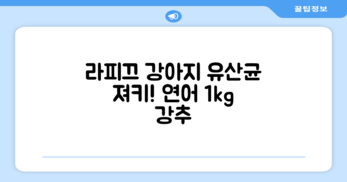 라피끄 강아지 유산균 품은 져키, 연어, 1kg, 1개 추천 리뷰