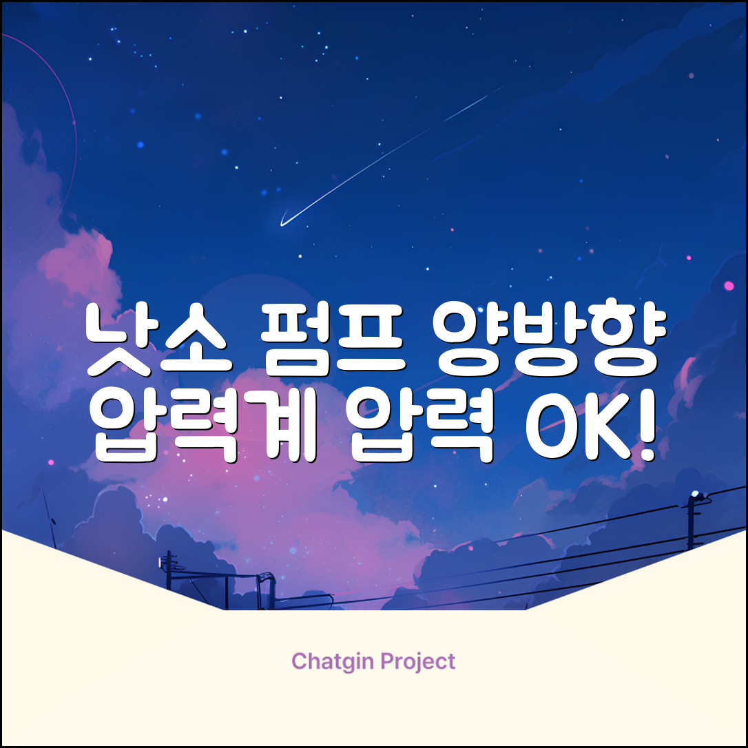 낫소 양방향 압력게이지 펌프, 블랙, 1개 추천 리뷰