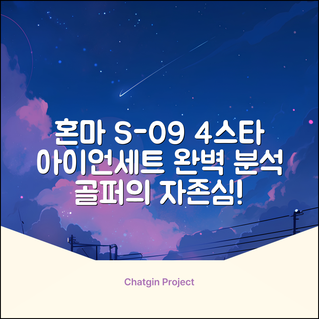 혼마아이언세트 남자아이언세트 S-09 혼마아이언 4스타 4/5/6/7/8/9/10/11/A/S 아이언커버 포함, 그라파이트S 추천 리뷰