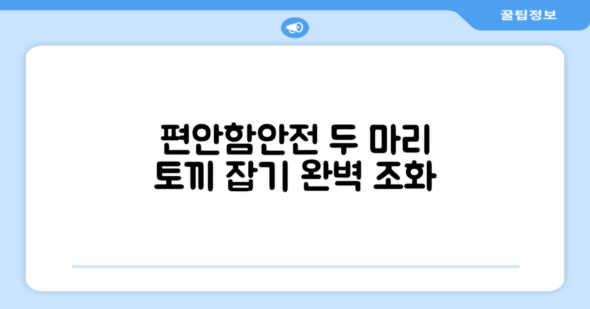편안함과 안전, 두 마리 토끼 잡기