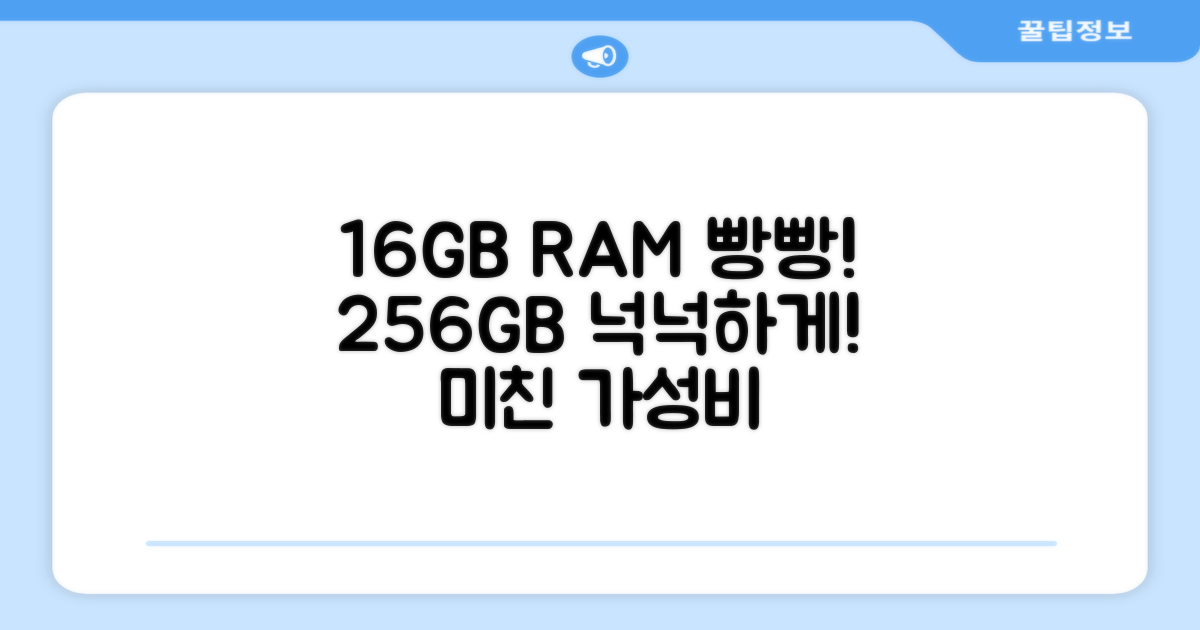 16GB RAM, 256GB 저장공간