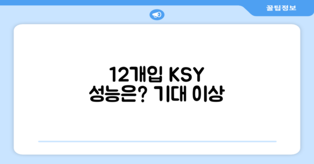 12개입 ksy, 성능은 어떨까?