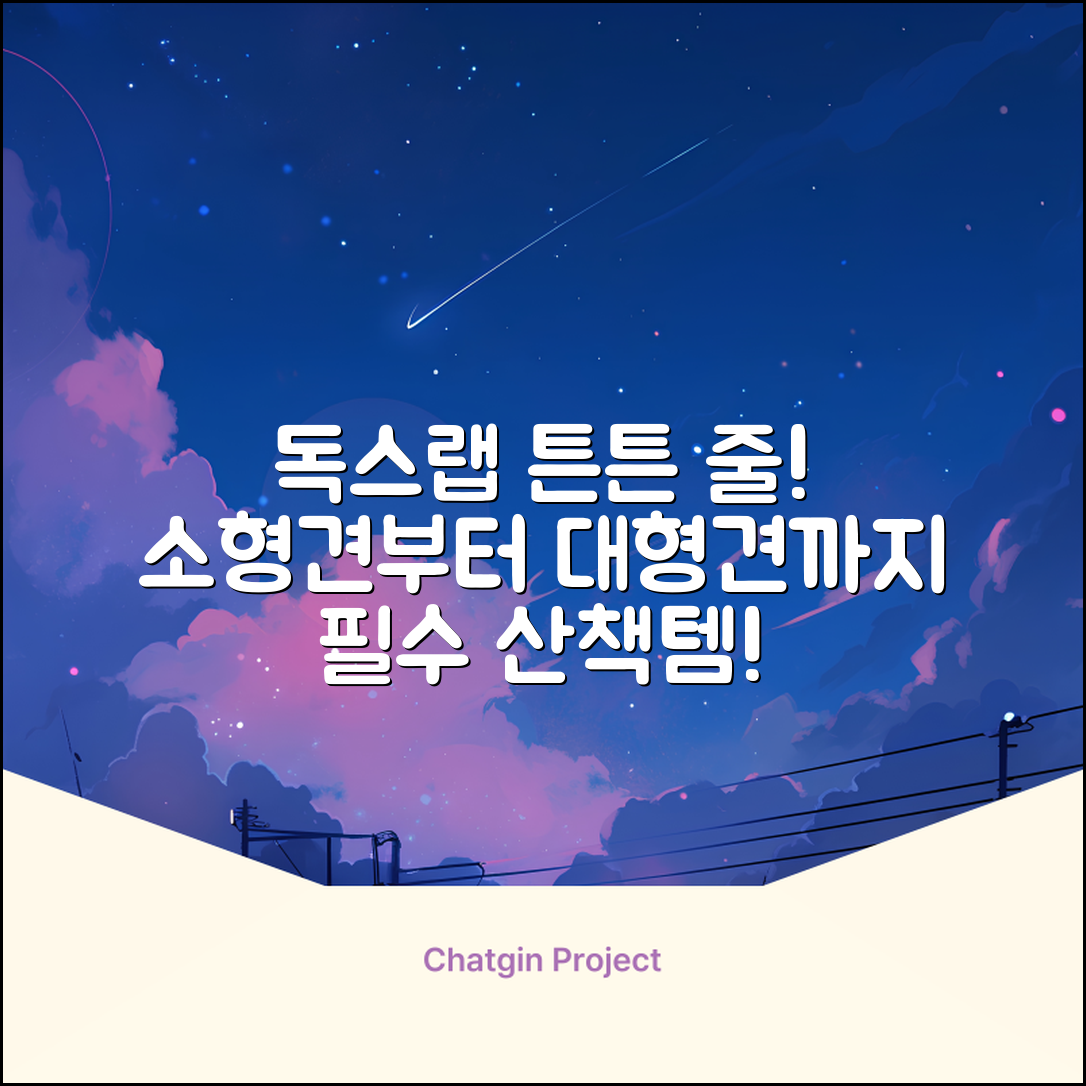 독스랩 1.5m 2m 3m 5m 스트롱 로프 소형견 중형견 대형견 줄 강아지 리드줄 산책줄, 블랙, 1개 추천 리뷰