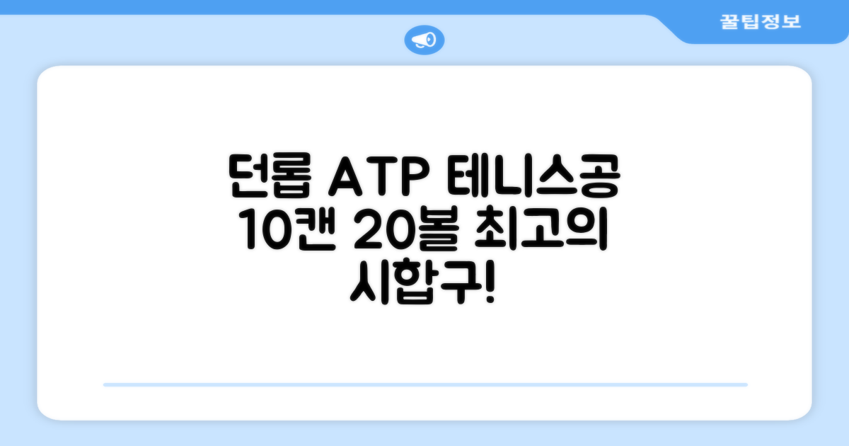 2025 던롭 ATP 테니스공 10캔 (20볼) 시합구, 던롭 ATP볼 10캔 (20볼), 10세트 추천 리뷰