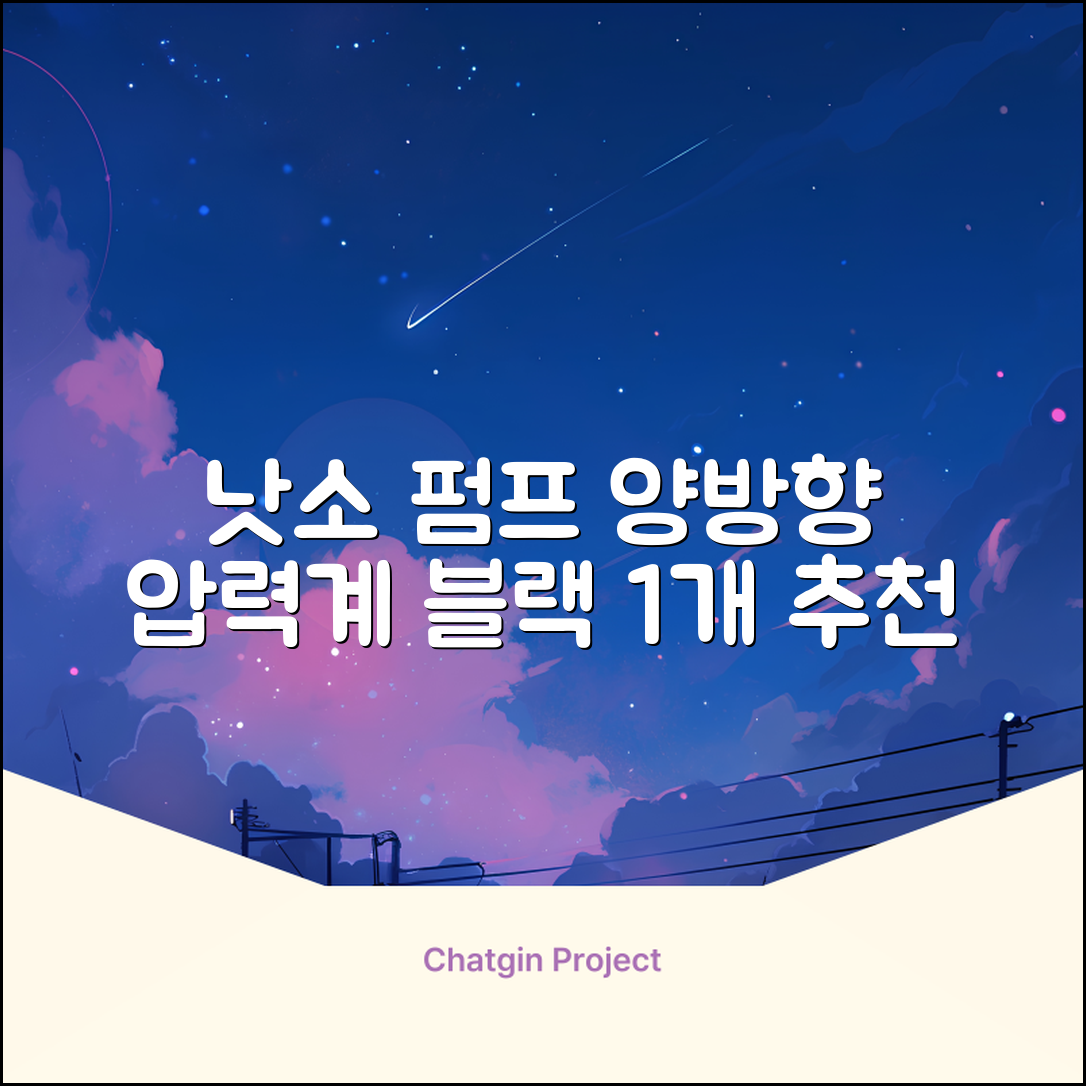 낫소 양방향 압력게이지 펌프, 블랙, 1개 추천 리뷰