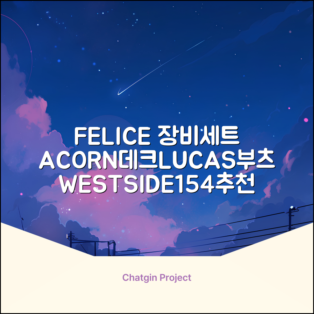 FELICE 장비세트6 ACORN데크 바인딩 LUCAS부츠, WESTSIDE 레드154+바인딩M, 1개 추천 리뷰