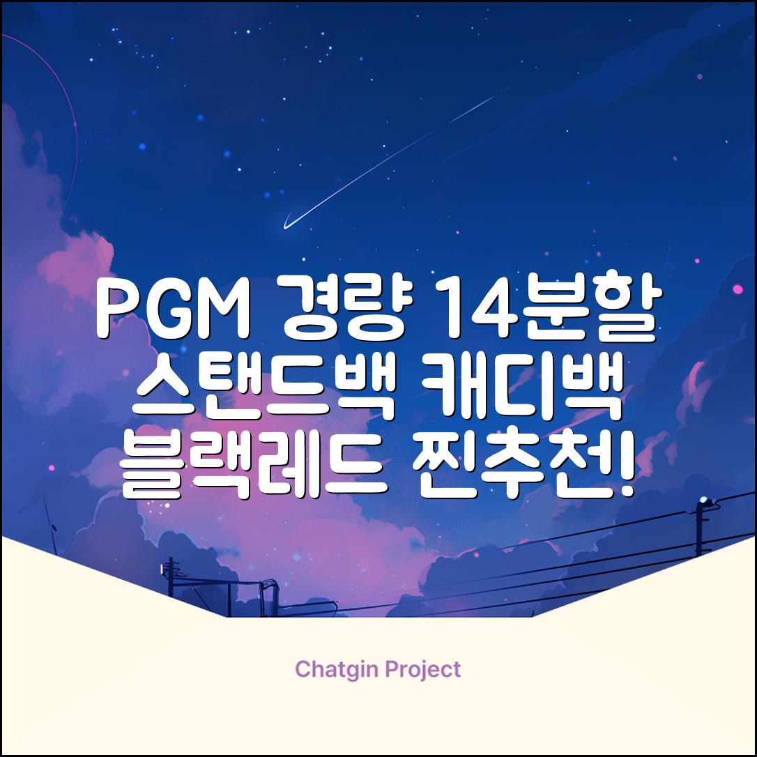 피지엠코리아 PGM 경량 14분할 골프백 스탠드백 캐디백, 블랙레드 추천 리뷰