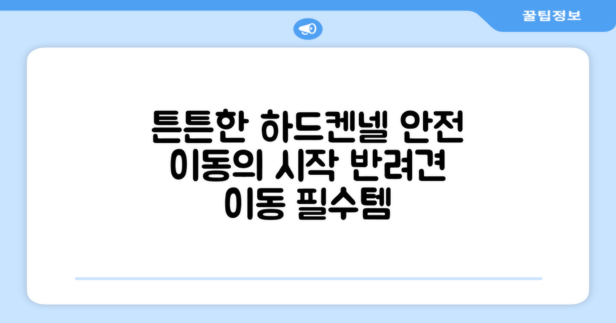 튼튼한 하드켄넬, 안전 이동