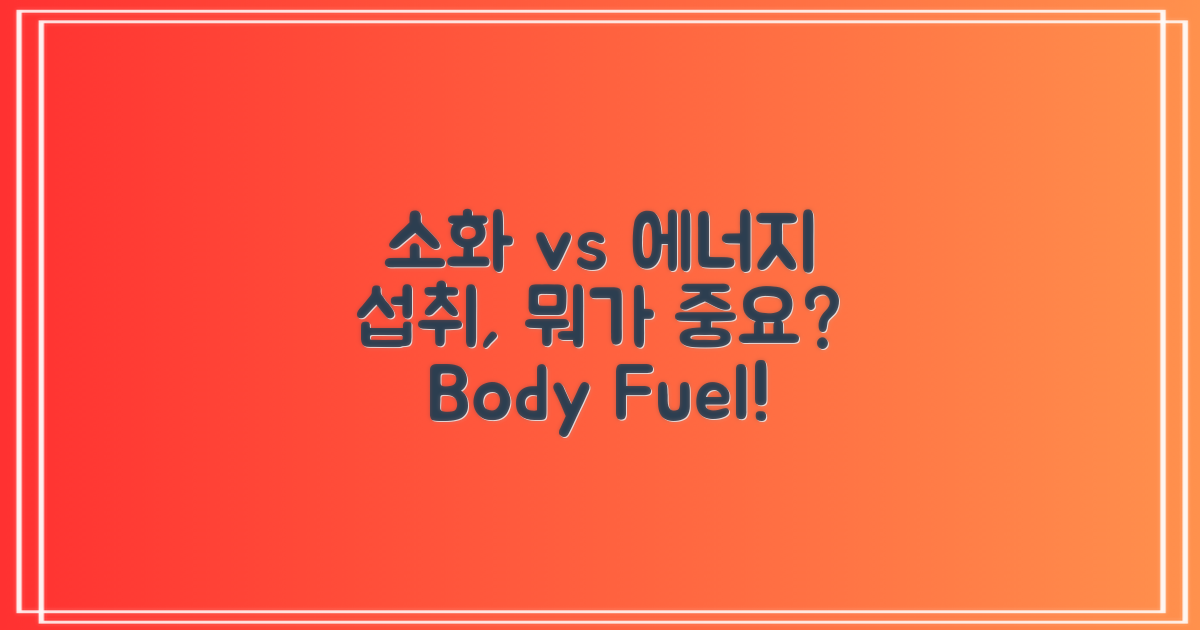 소화 vs 에너지 섭취