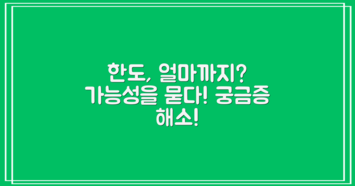 한도, 어느 정도까지 가능할까?
